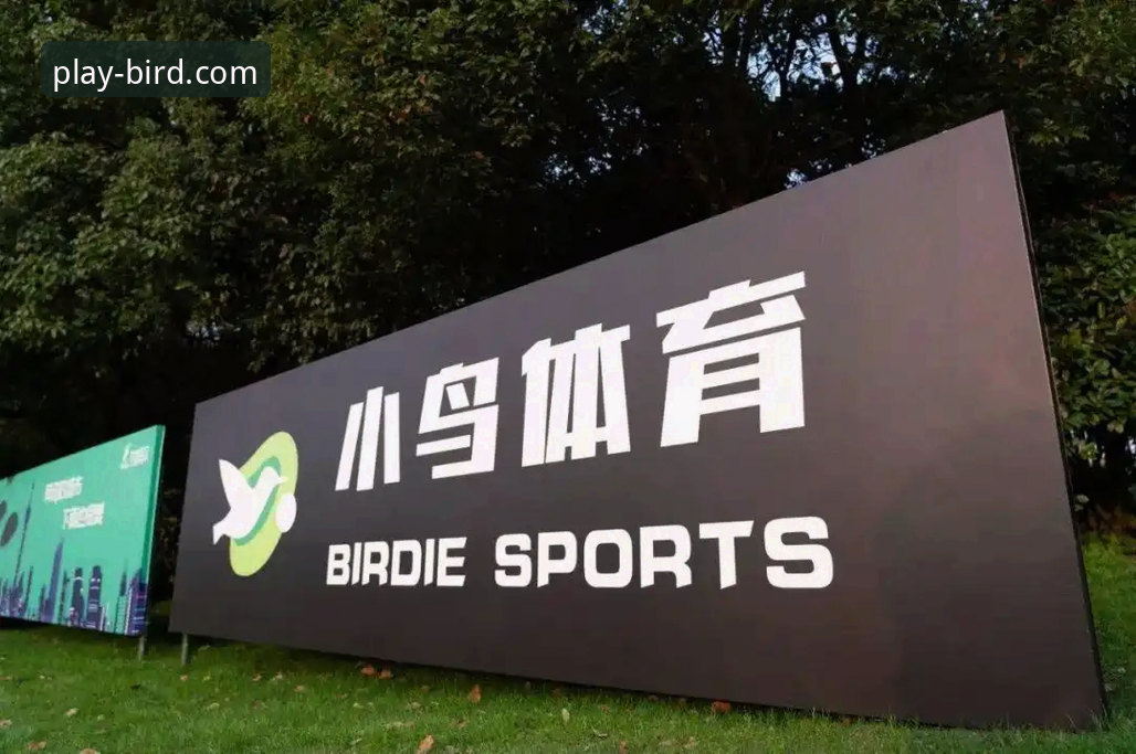 小鸟体育专家推荐 小鸟体育平台专家推荐 vs 普通用户选择:技术视角下的深度解析