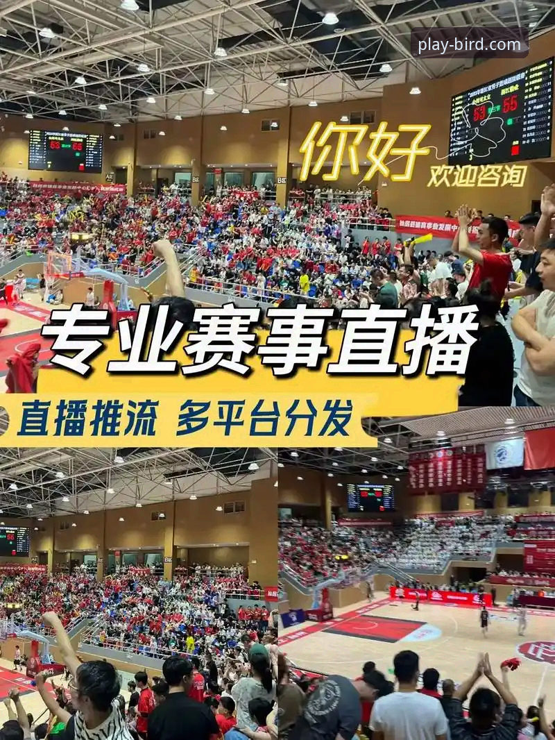 体育赛事直播平台 小鸟体育平台深度解析:一个资深用户眼中的全能体育赛事直播平台
