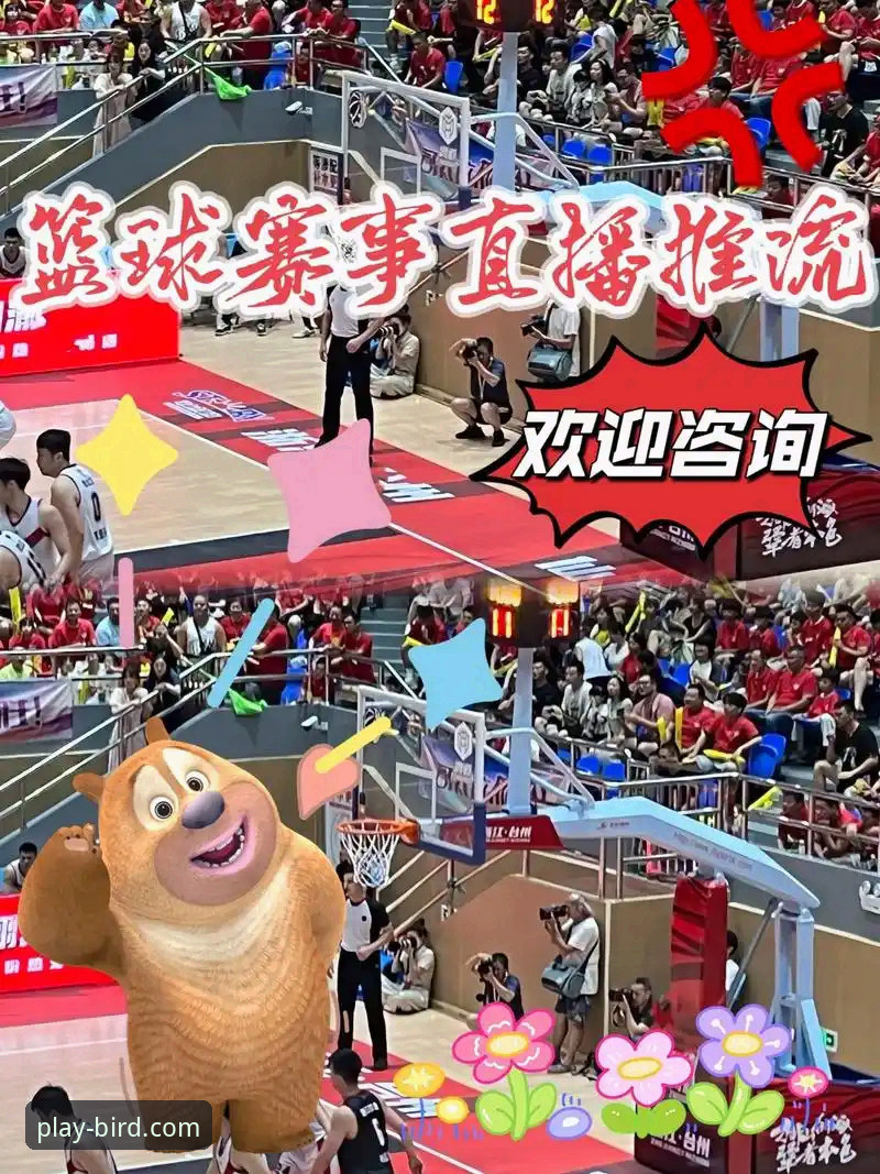 体育赛事直播平台 小鸟体育平台深度解析:一个资深用户眼中的全能体育赛事直播平台