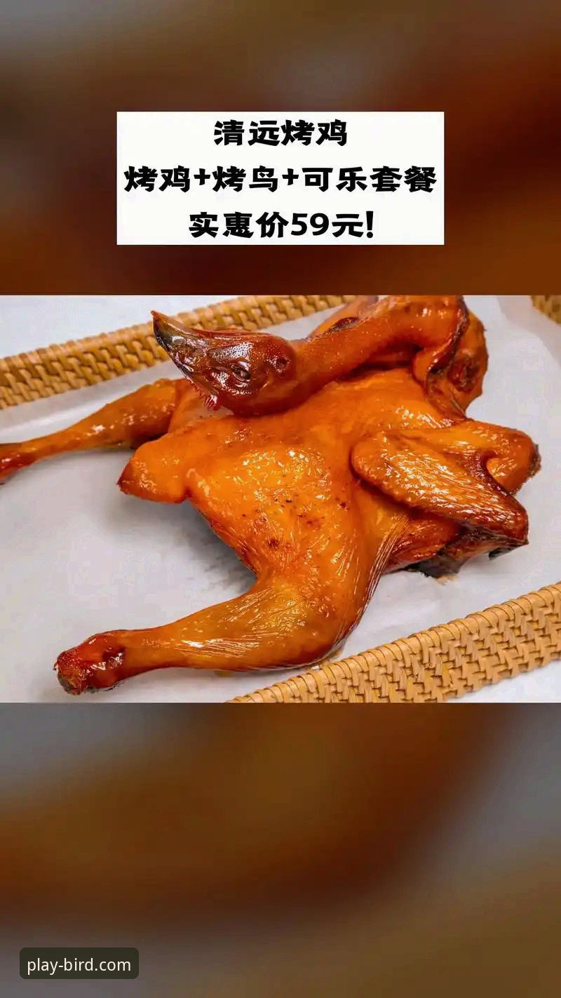小鸟体育直播入口使用指南 新手必看!小鸟体育直播入口使用指南最新动态详解